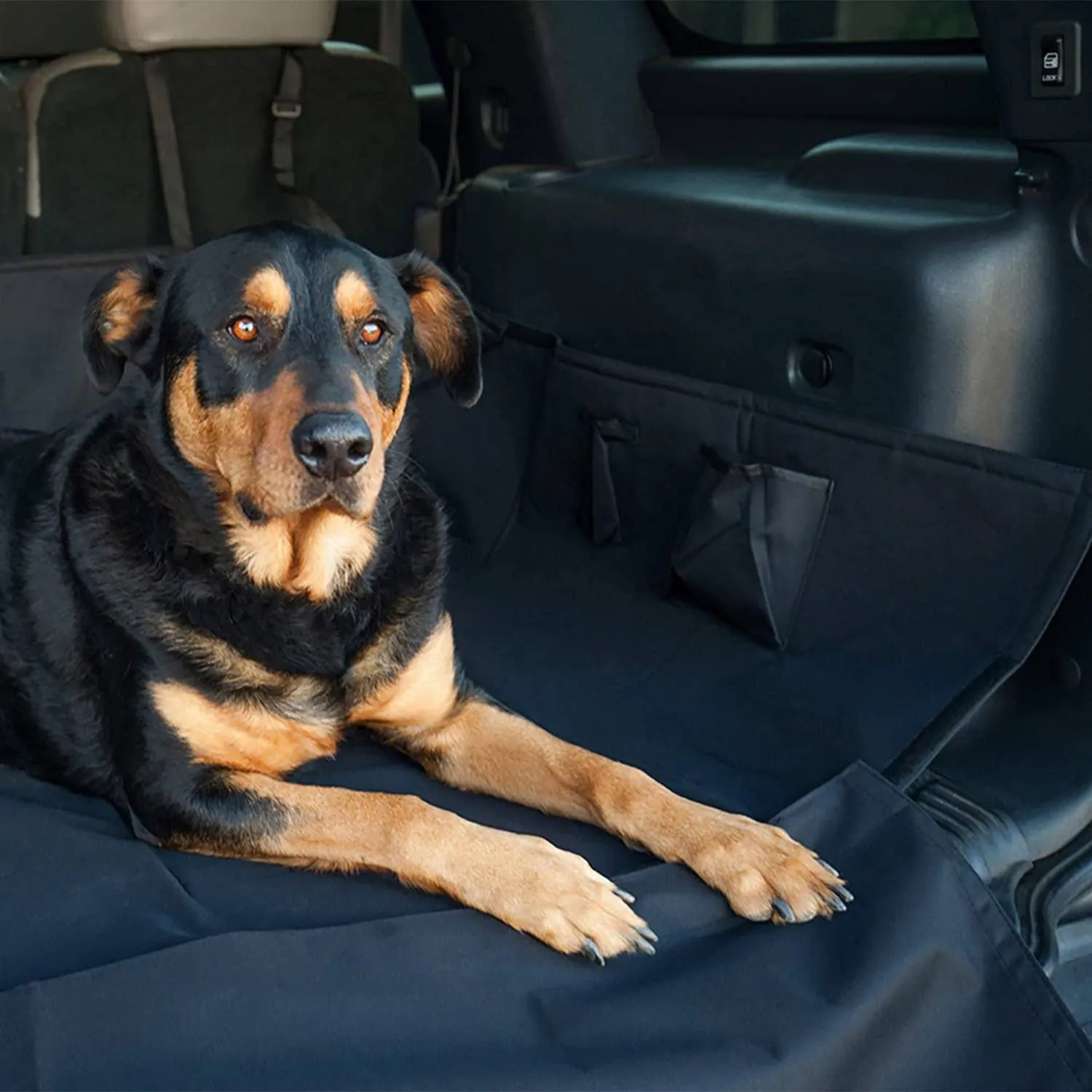 Paws & Pals Dog Seat Cover for Back Seat
