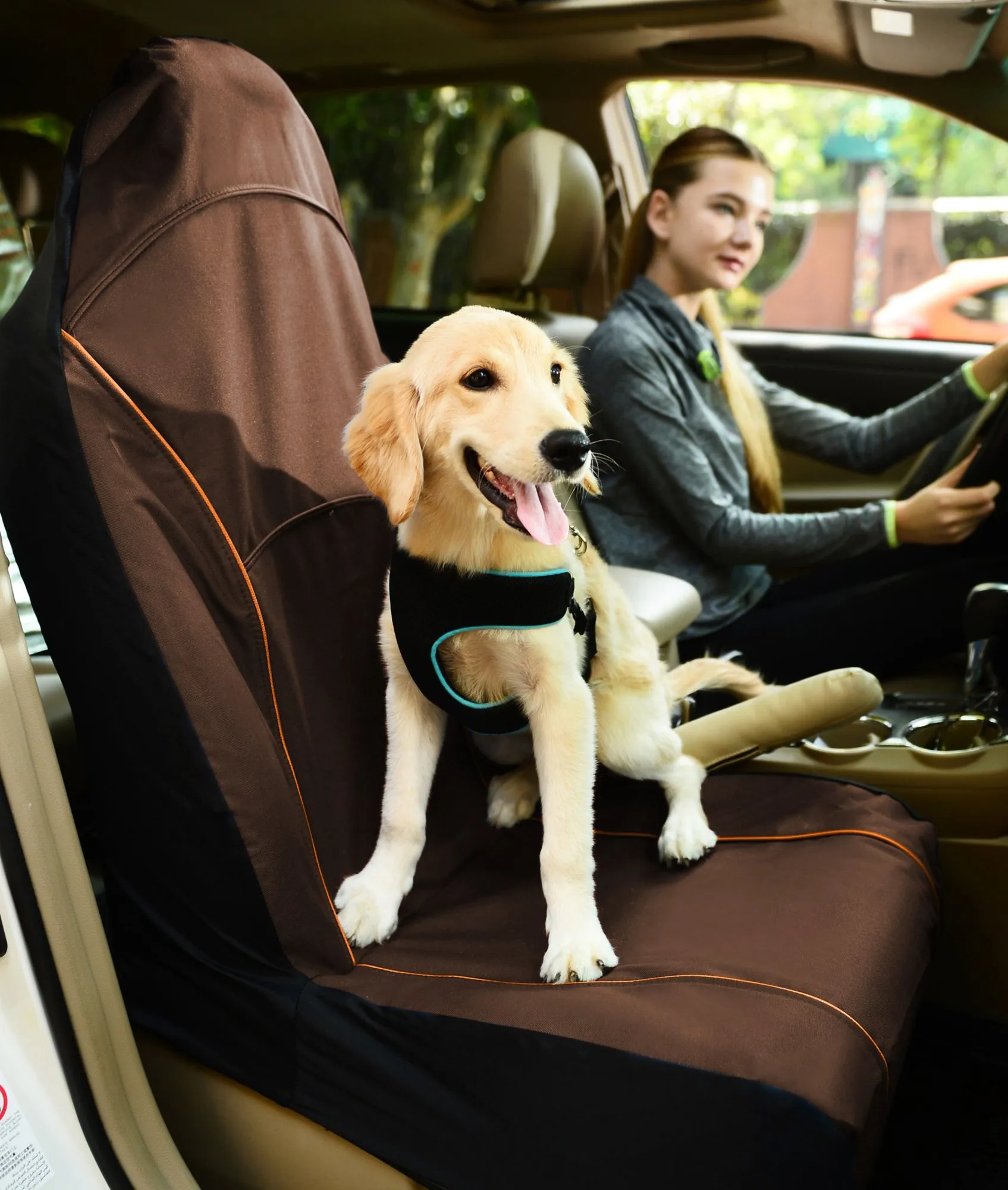 Pet Life Open Road Single Car Dog Seat Cover