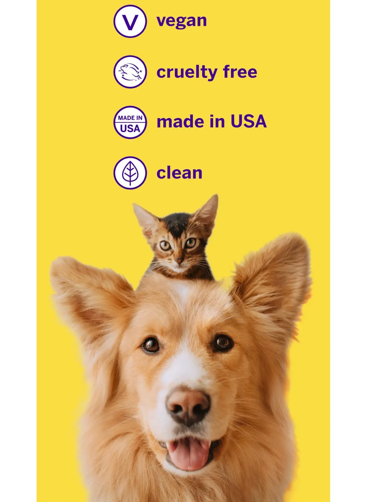 Petsmile - #1 Vet Dentist Recommended Toothpaste for Dog and Cat, London Broil, 2.5oz | 4.2oz