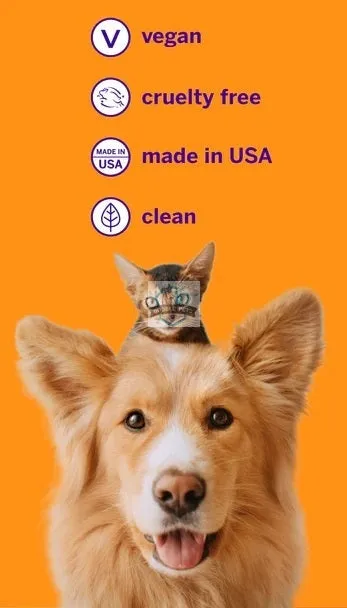 Petsmile Professional Cheese Flavour Toothpaste for Dogs & Cats