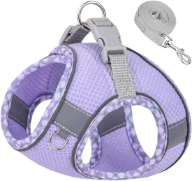 Purple XS Step-in Vest Harness and Leash Set - No Pull Adjustable Reflective Pet Harness for Small Dogs and Cats - Easy Walk, Outdoor Hiking, Training