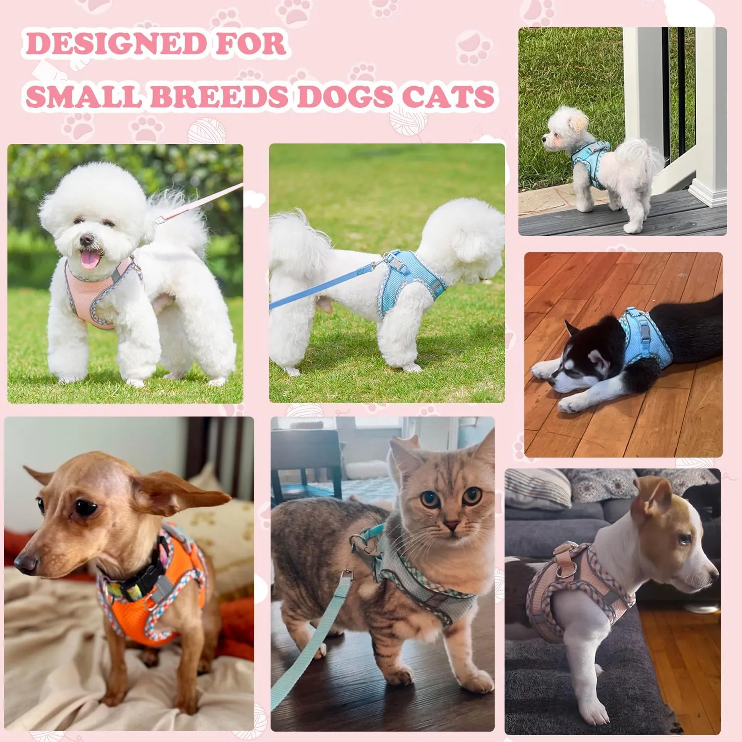 Purple XS Step-in Vest Harness and Leash Set - No Pull Adjustable Reflective Pet Harness for Small Dogs and Cats - Easy Walk, Outdoor Hiking, Training