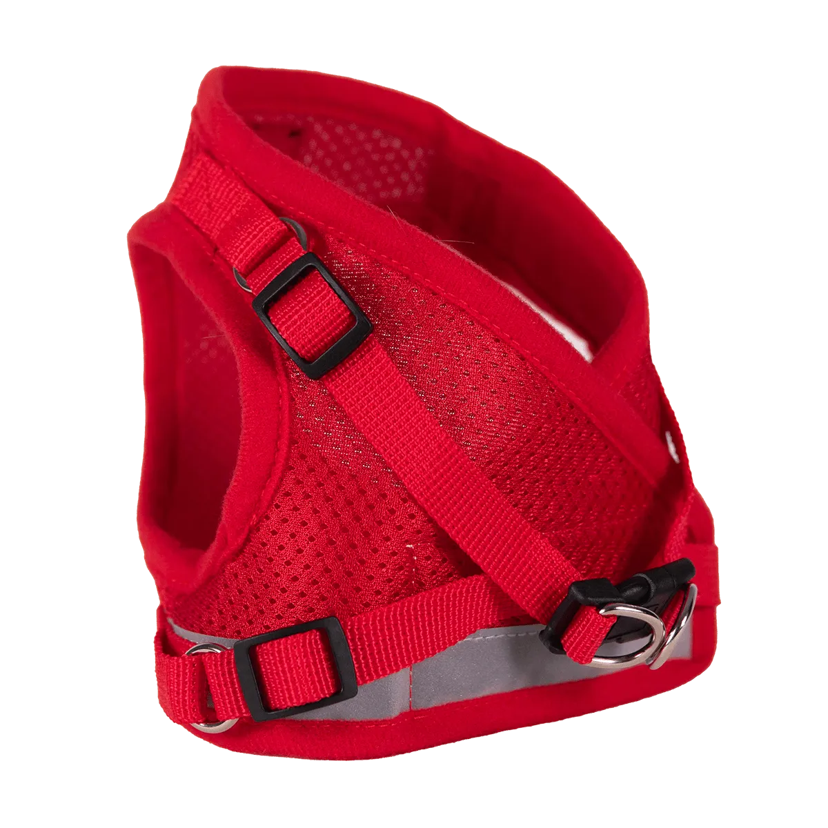 "The True Adventurer" Harness and Leash Set & Cat Clicker Set Bundle