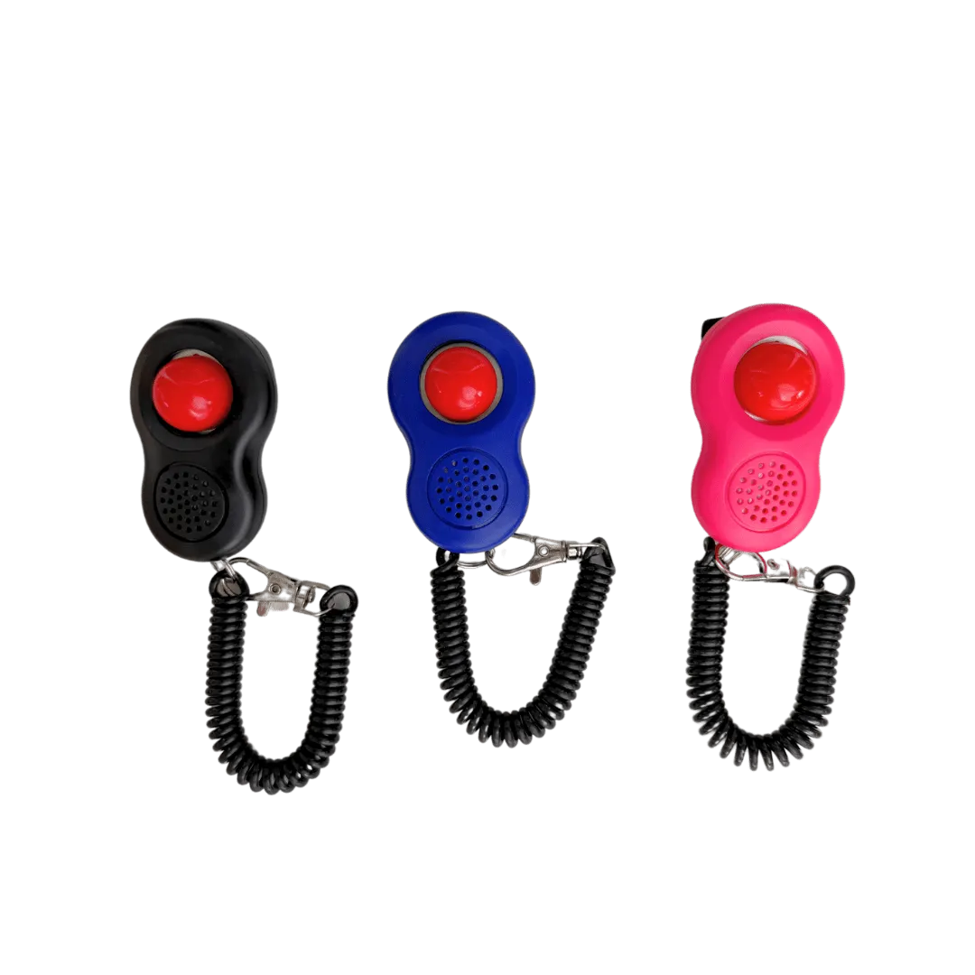 "The True Adventurer" Harness and Leash Set & Cat Clicker Set Bundle