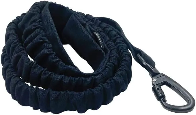 Shock Absorbing Leash, Black
