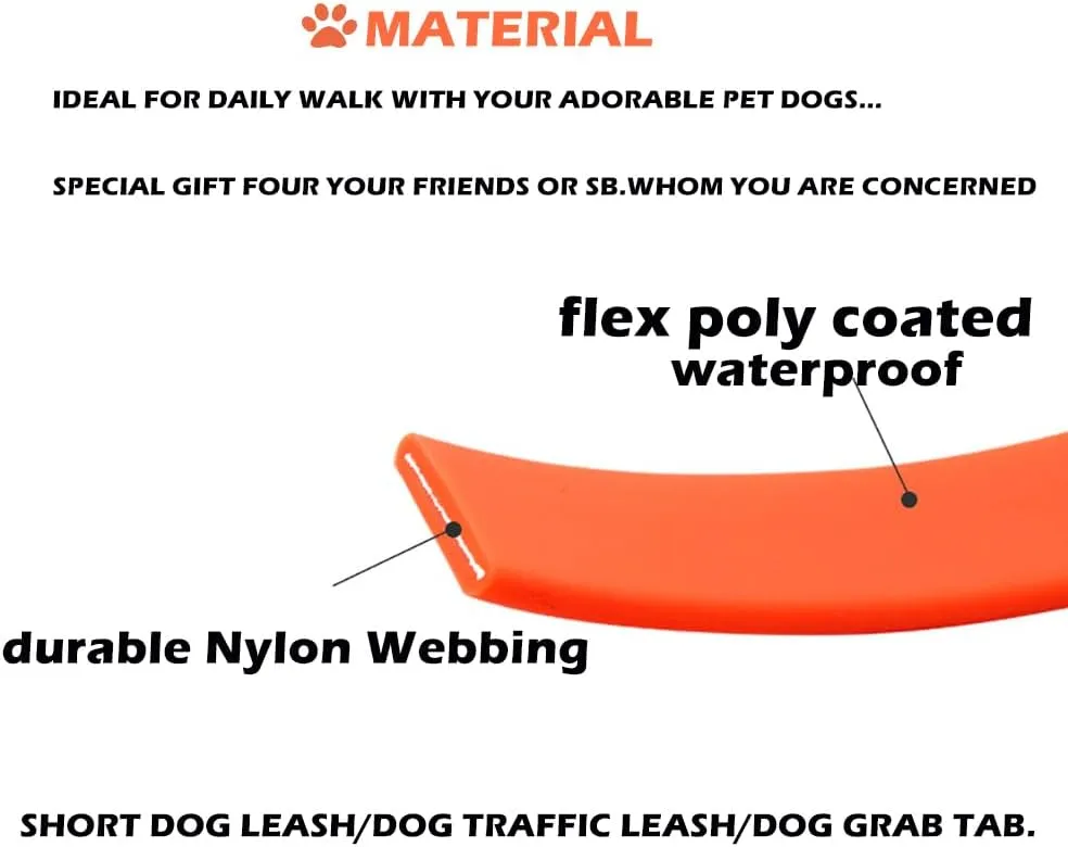 Short Dog Leash - Waterproof Dogs Leashes Traffic Pet Lead Training Dog Leads Handle 2 Pack (Blue, 10 inch)