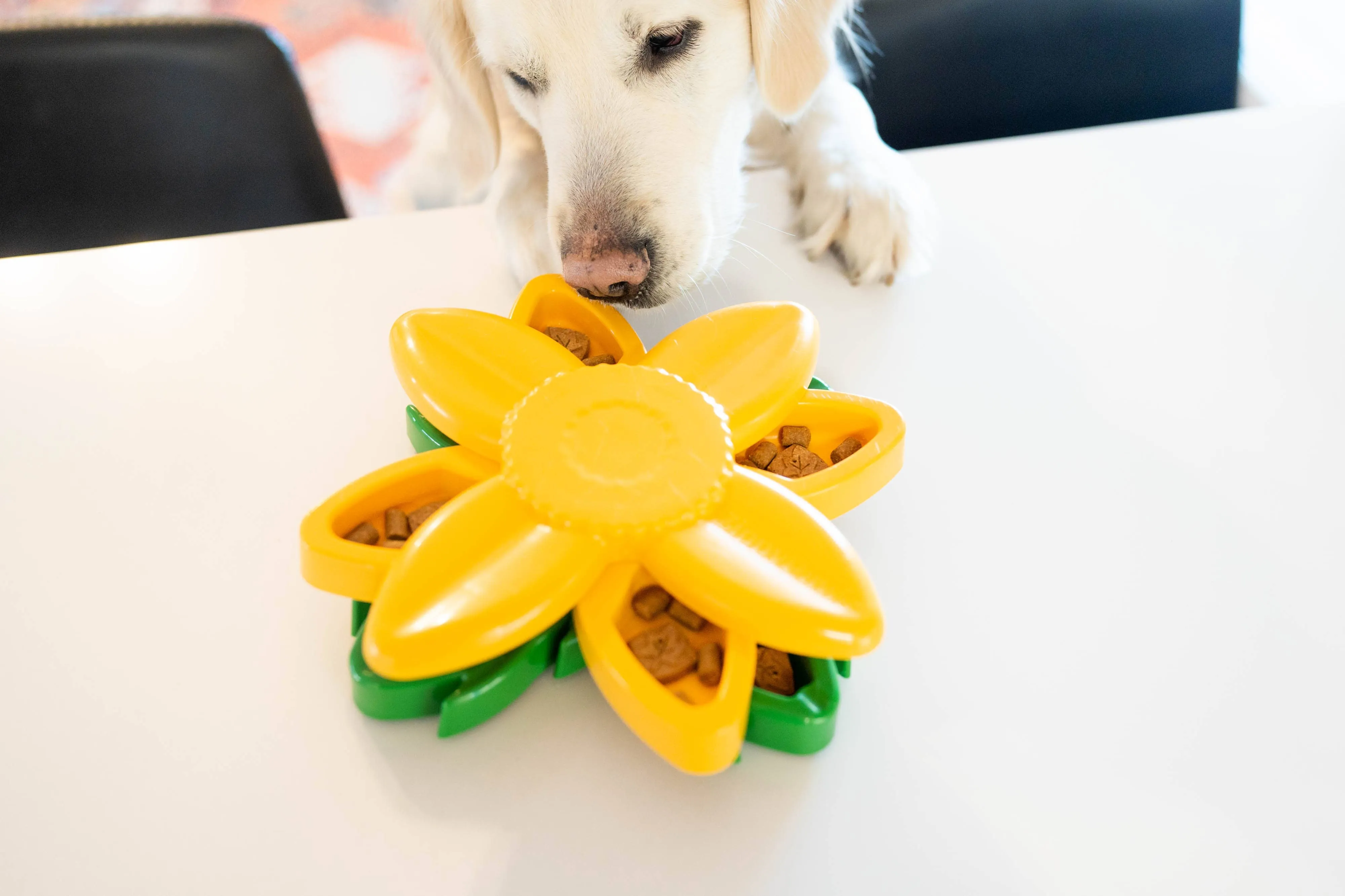 SmartyPaws Sunflower Puzzler -ZippyPaws