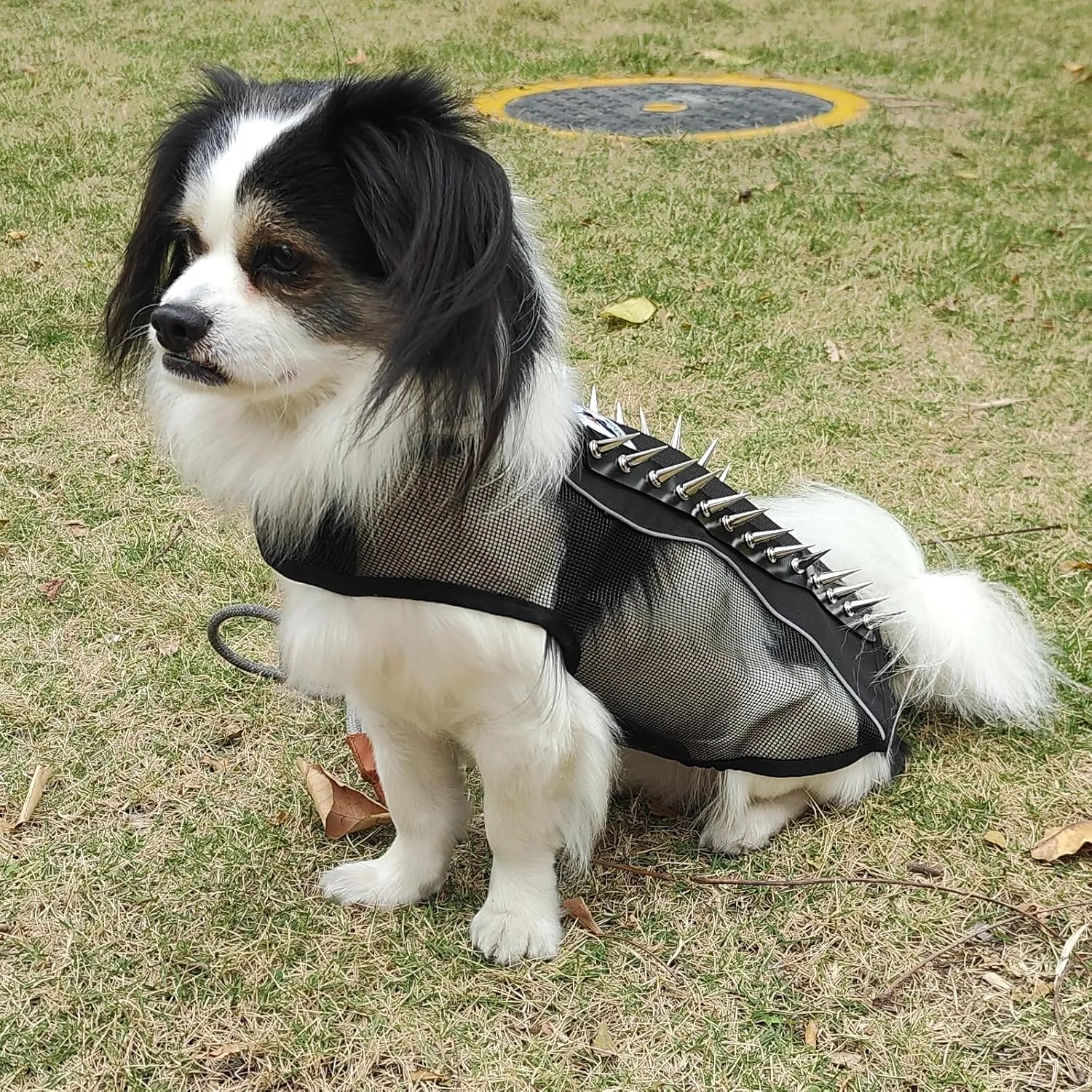 Spike Mesh Dog Harness Summer Reflective Jacket Waterproof Coat Cool Jacket Vest for Small to Large Dogs Black X-Small