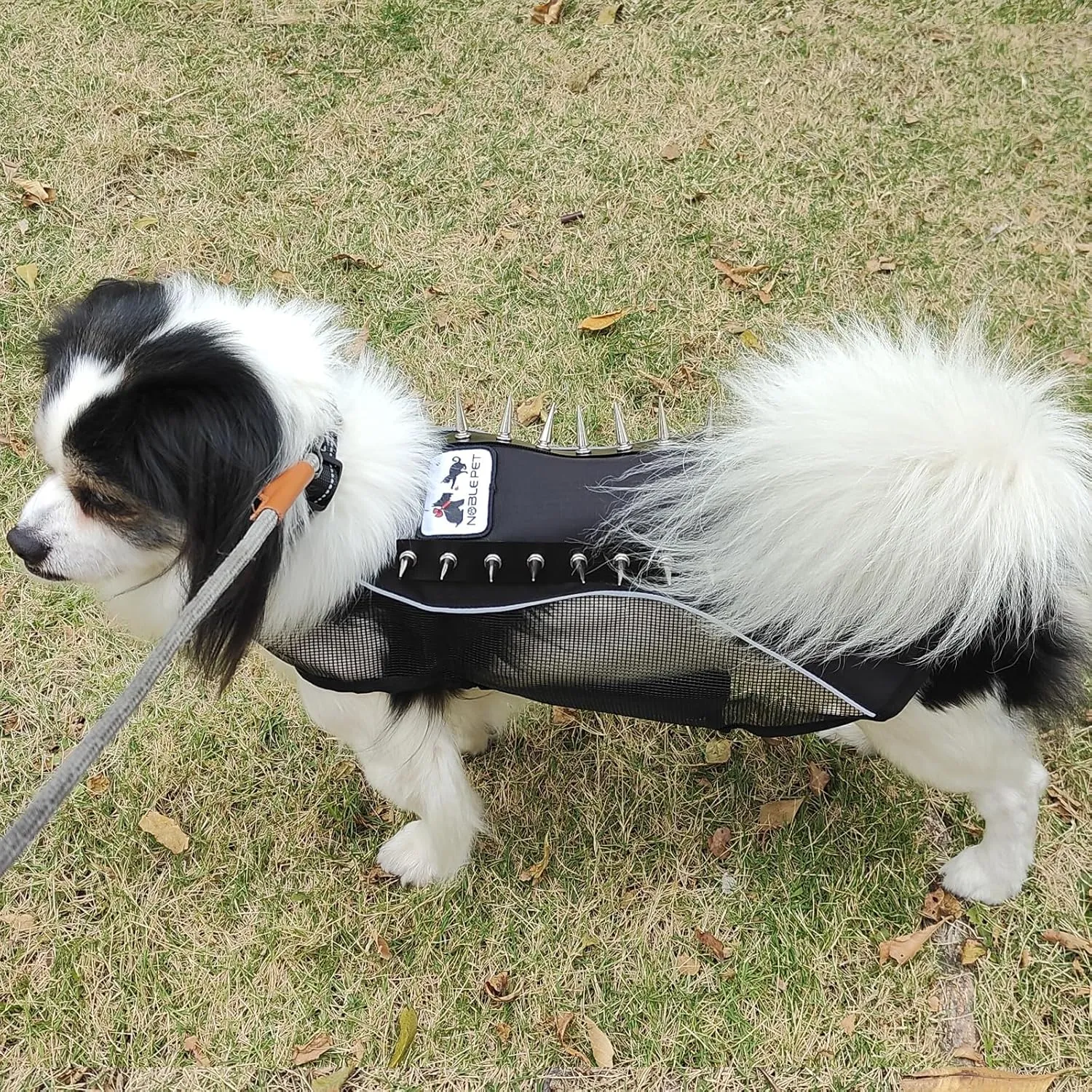 Spike Mesh Dog Harness Summer Reflective Jacket Waterproof Coat Cool Jacket Vest for Small to Large Dogs Black X-Small