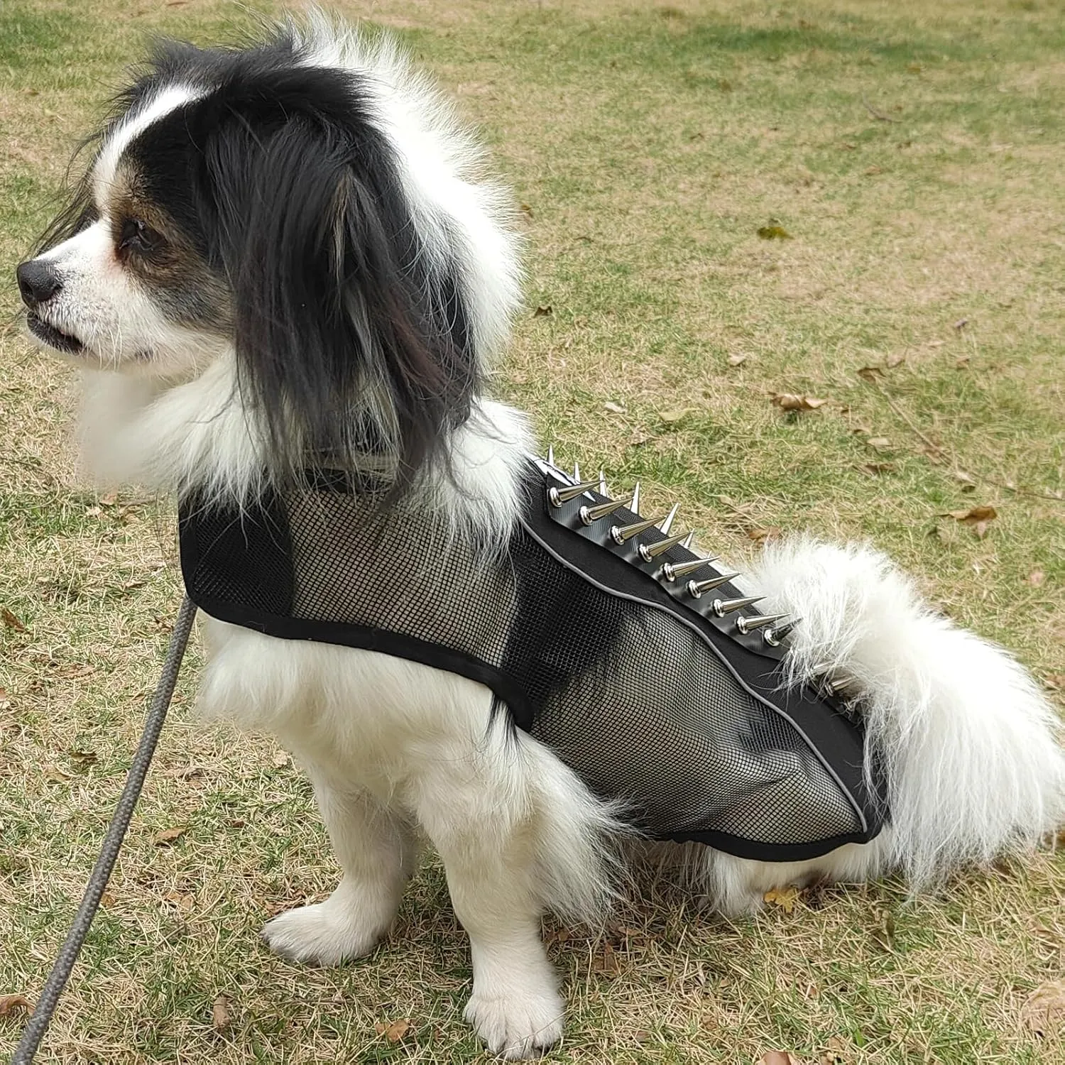 Spike Mesh Dog Harness Summer Reflective Jacket Waterproof Coat Cool Jacket Vest for Small to Large Dogs Black X-Small