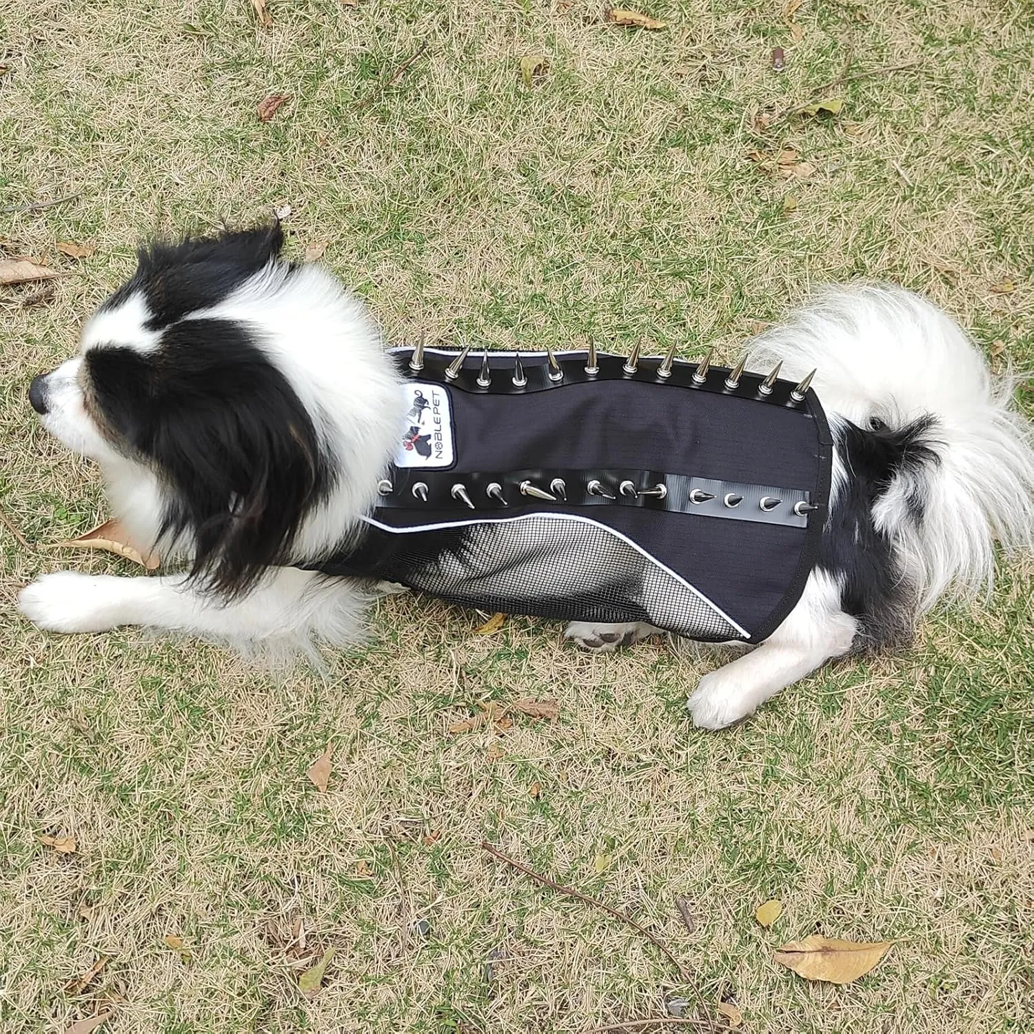 Spike Mesh Dog Harness Summer Reflective Jacket Waterproof Coat Cool Jacket Vest for Small to Large Dogs Black X-Small