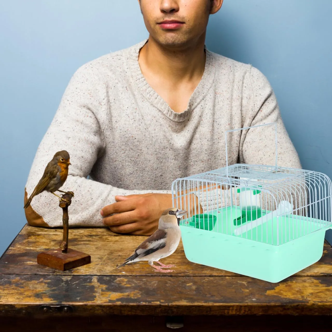 Vanzack Portable Parrot & Bird Carrier - Travel Cage for Parakeets, Cockatiels & Small Birds - Abs Light Green